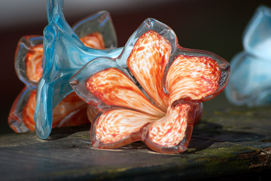 Murano-Glass-Flowers-in-Venice-