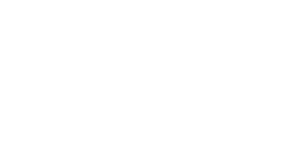 Palazzo Venart Logo Video